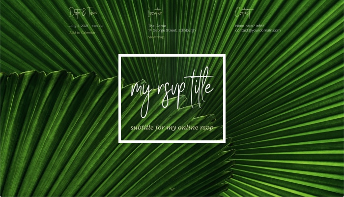 Very colorful and tropical theme