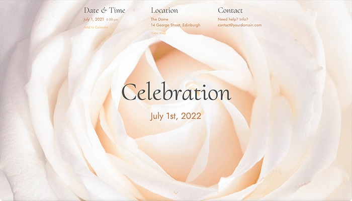 Timeless RSVP website design with white rose closeup photo